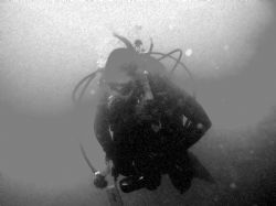 Into the Deep, My Wife Wendy. Casino Point, Catalina. Tak... by Kevin Robert Panizza 